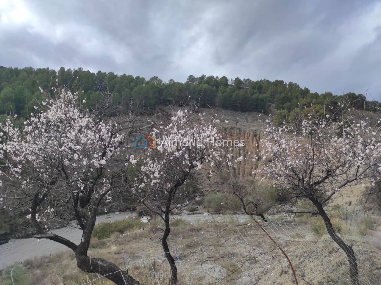 Finca/Landhuis te koop in Lucar - € 55.000 (Ref: 9948818)