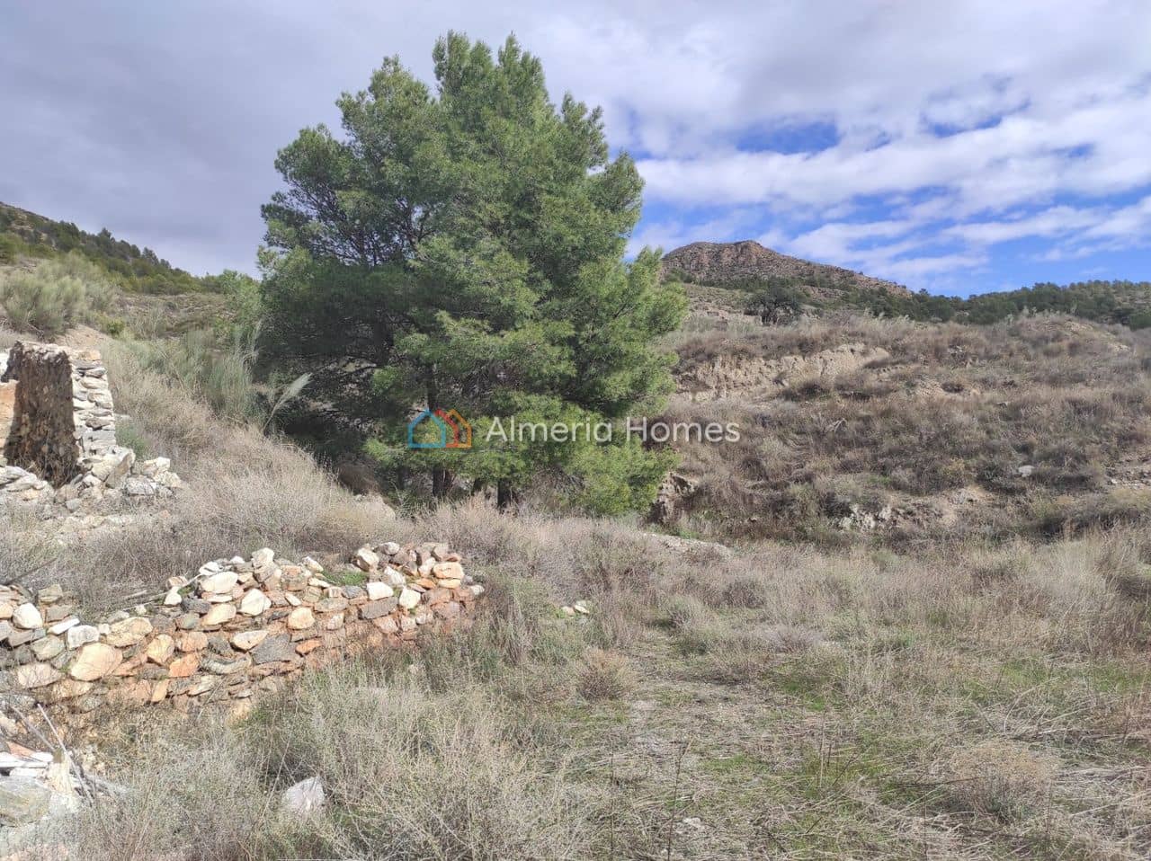 Finca/Landhuis te koop in Lucar - € 55.000 (Ref: 9948818)