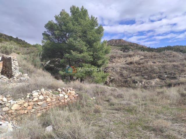 Finca/Landhuis te koop in Lúcar - € 55.000 (Ref: 9948818)