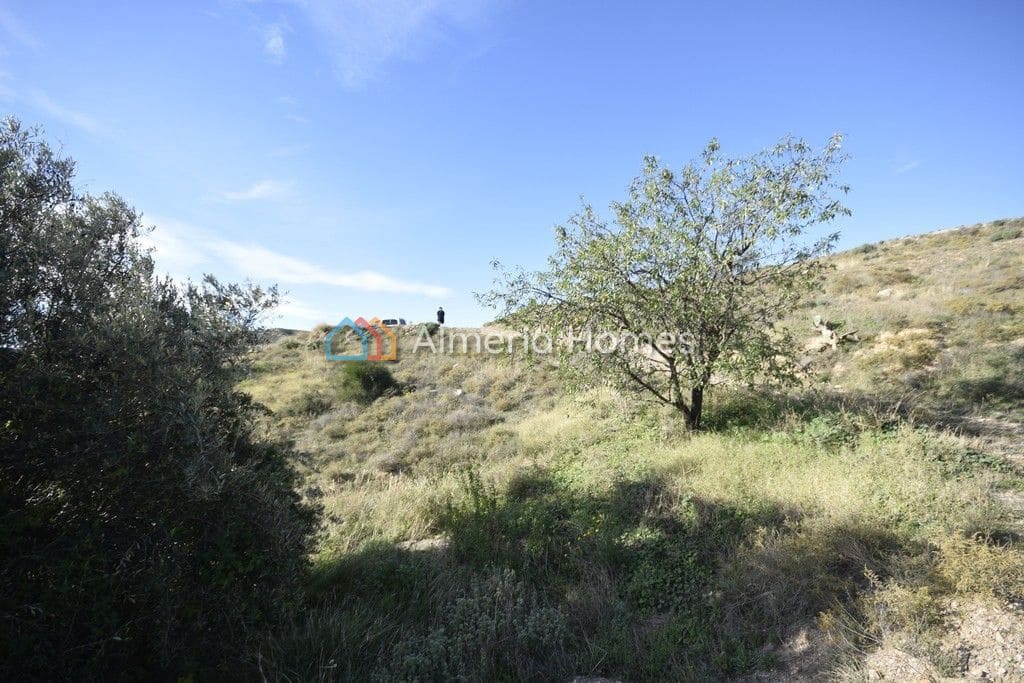 3 soveværelse Finca/Landehus til salg i Albox - € 39.000 (Ref: 9983338)