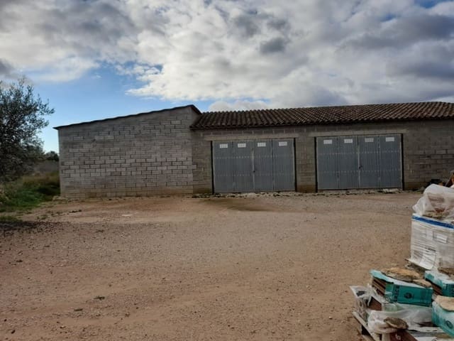 Finca/Casa Rural de 5 habitaciones en Tivissa en venta - 350.000 € (Ref: 10167312)