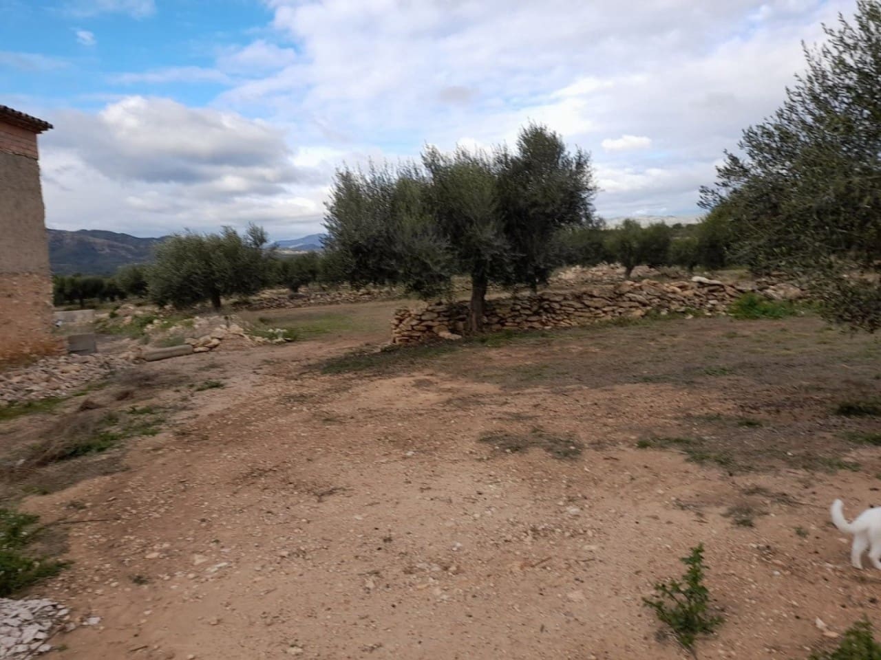 5 bedroom Finca/Country House for sale in Tivissa - € 350,000 (Ref: 10167312)