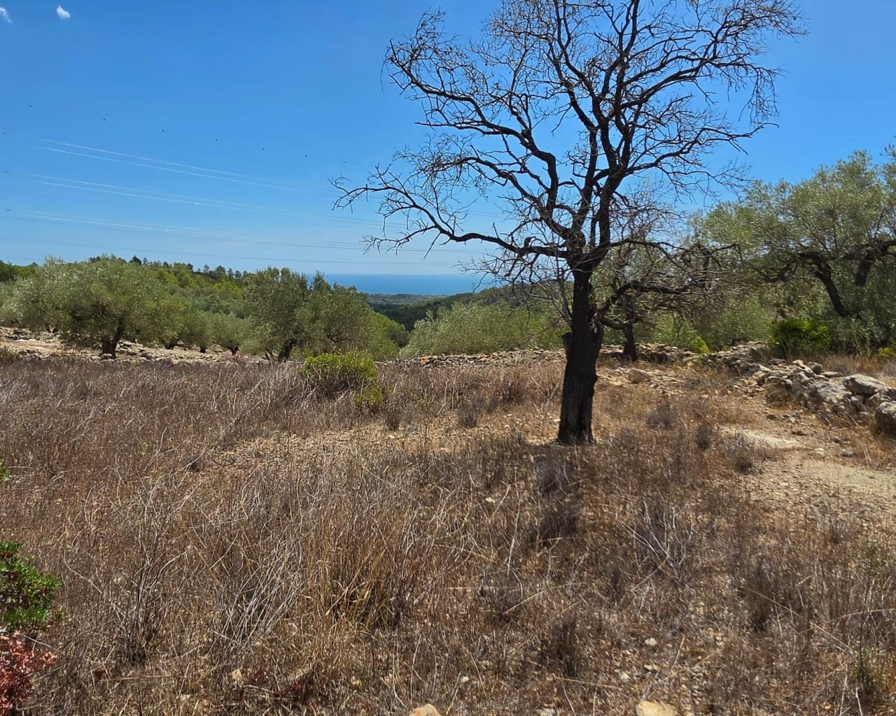Finca/Country House for sale in El Perello - € 49,000 (Ref: 10167320)