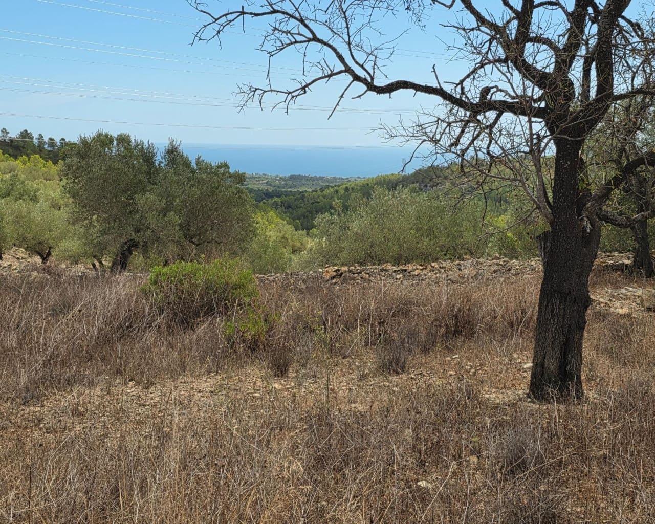 Finca/Country House for sale in El Perello - € 49,000 (Ref: 10167320)