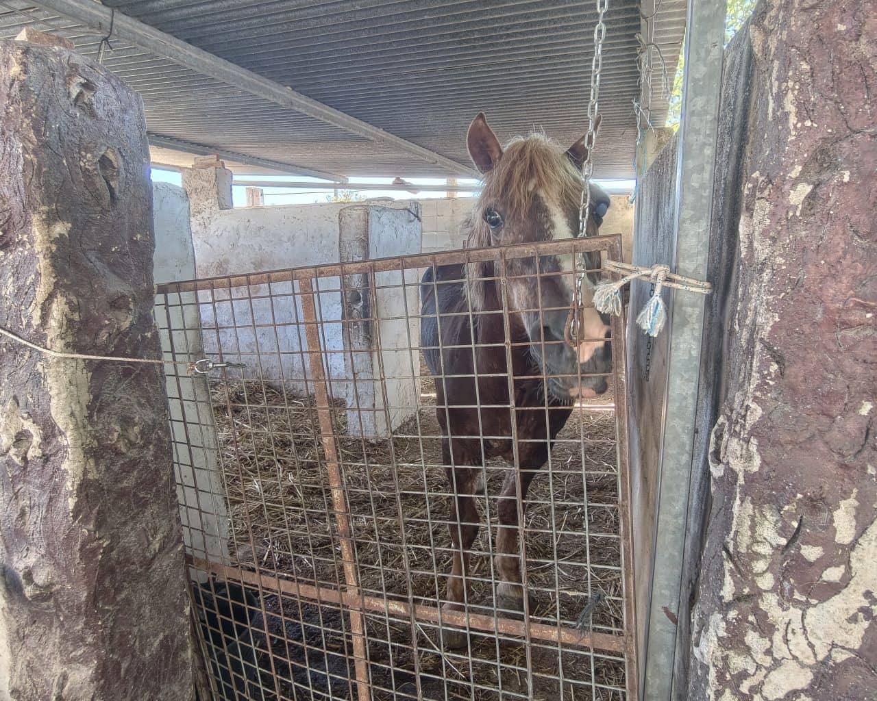 7 makuuhuone Huvila myytävänä paikassa Oliva mukana uima-altaan - 550 000 € (Ref: 10167329)
