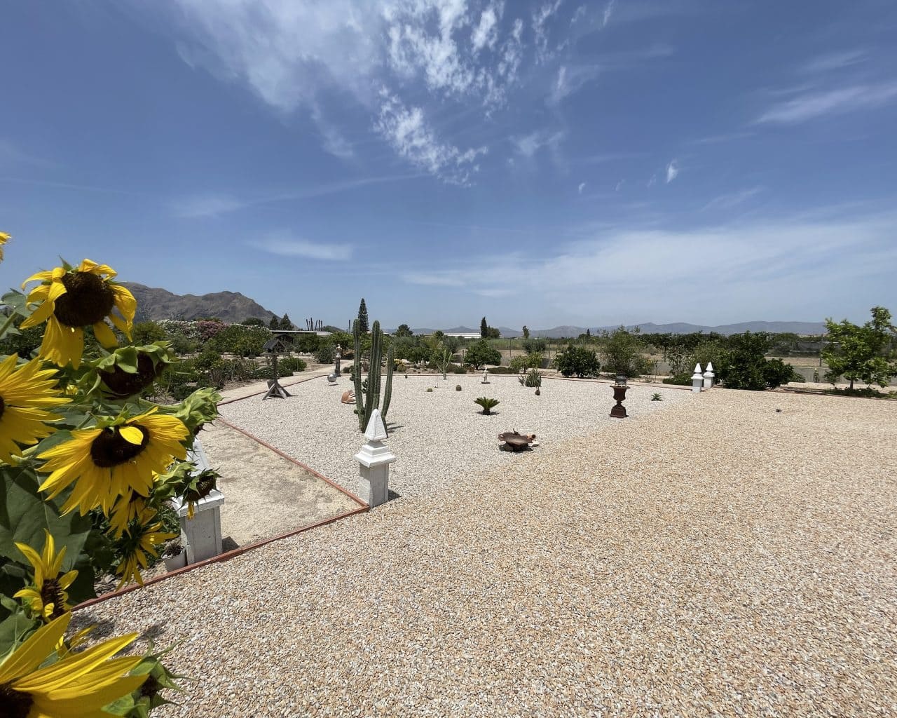 5 bedroom Villa for sale in Almoradi with pool - € 375,000 (Ref: 10167333)