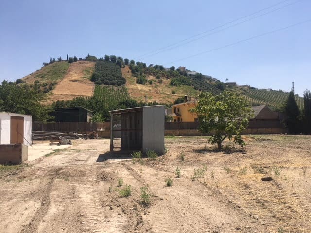 Finca/Casa Rural de 4 habitaciones en Monturque en venta con piscina garaje - 315.000 € (Ref: 10054442)