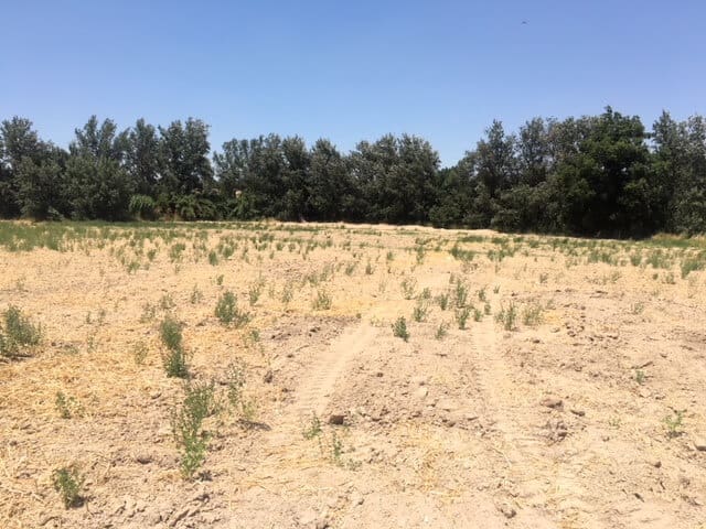 Finca/Casa Rural de 4 habitaciones en Monturque en venta con piscina garaje - 315.000 € (Ref: 10054442)