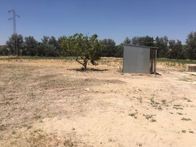 Finca/Casa Rural de 4 habitaciones en Monturque en venta con piscina garaje - 315.000 € (Ref: 10054442)