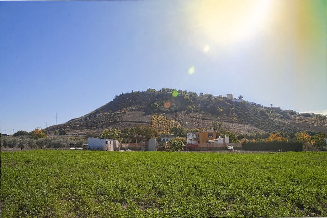 Finca/Casa Rural de 4 habitaciones en Monturque en venta con piscina garaje - 315.000 € (Ref: 10054442)