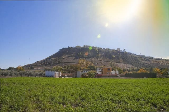 Finca/Casa Rural de 4 habitaciones en Monturque en venta con piscina garaje - 315.000 € (Ref: 10054442)