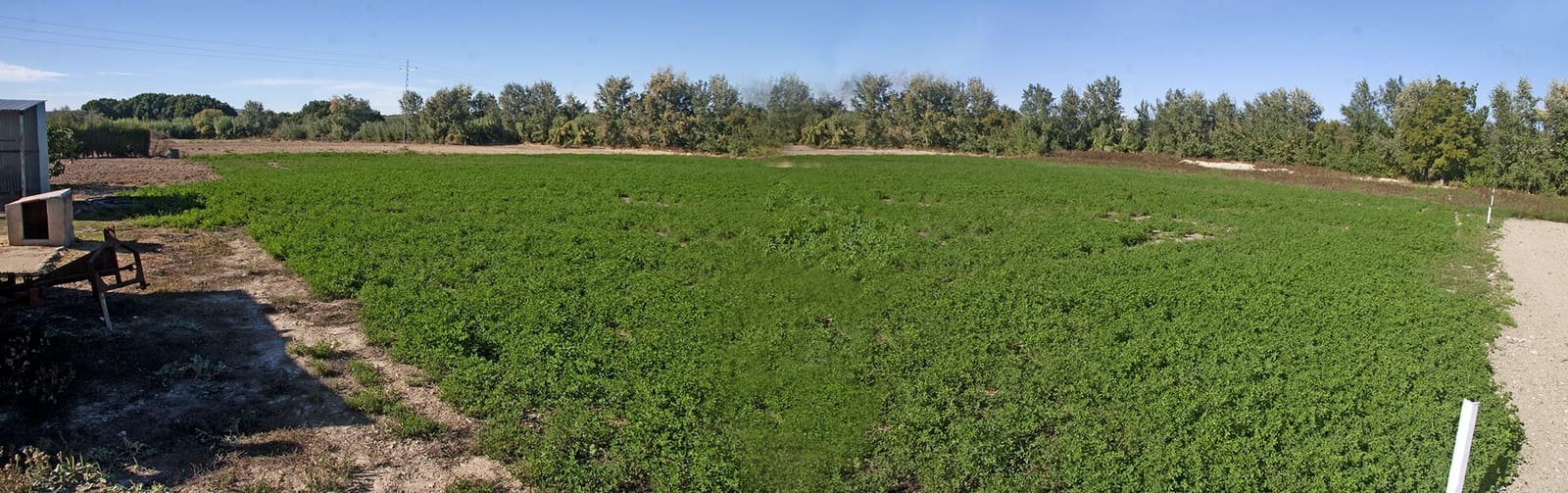 Finca/Casa Rural de 4 habitaciones en Monturque en venta con piscina garaje - 315.000 € (Ref: 10054442)