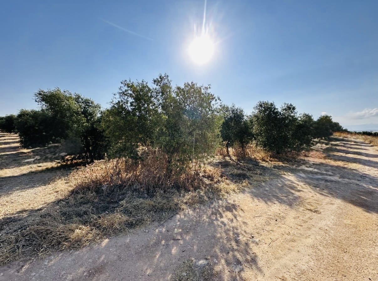 Quinta/Casa Rural para venda em Fuente de Piedra - 250 000 € (Ref: 10081655)
