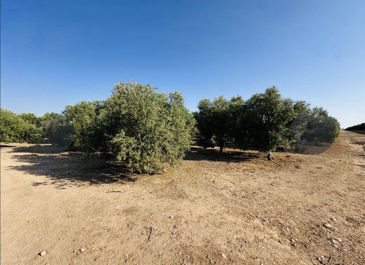Quinta/Casa Rural para venda em Fuente de Piedra - 250 000 € (Ref: 10081655)