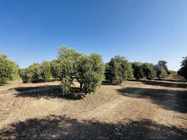 Quinta/Casa Rural para venda em Fuente de Piedra - 250 000 € (Ref: 10081655)