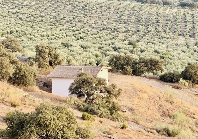 2 sypialnia Finka/Dom wiejski na sprzedaż w Zagra z garażem - 145 000 € (Ref: 10086695)