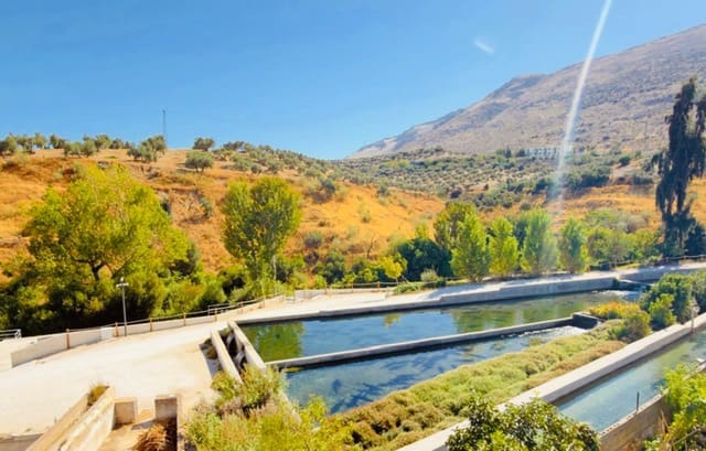 Gewerbe zu verkaufen in Loja - 390.000 € (Ref: 10097349)