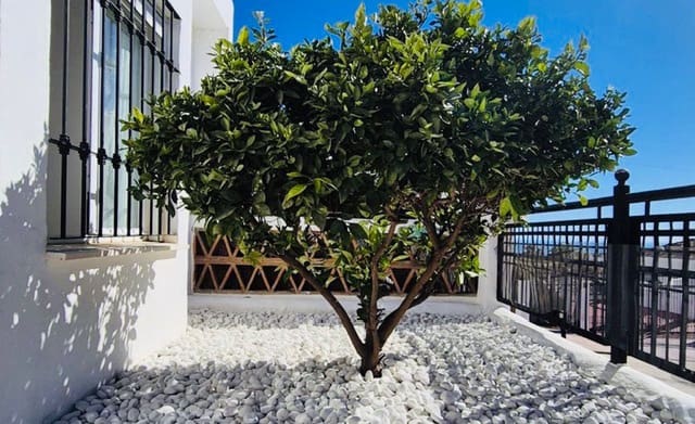 2 bedroom Apartment for sale in Benalmadena with pool - € 435,000 (Ref: 10099392)