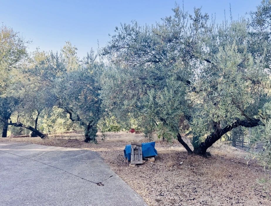 3 quarto Quinta/Casa Rural para venda em Iznajar com garagem - 229 000 € (Ref: 10124552)