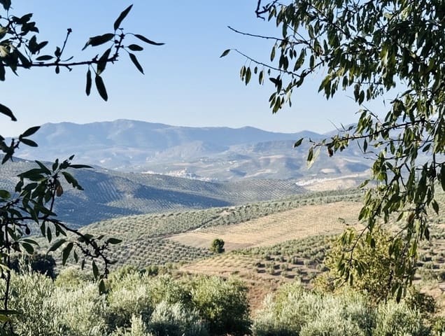 3 quarto Quinta/Casa Rural para venda em Iznájar com garagem - 229 000 € (Ref: 10124552)