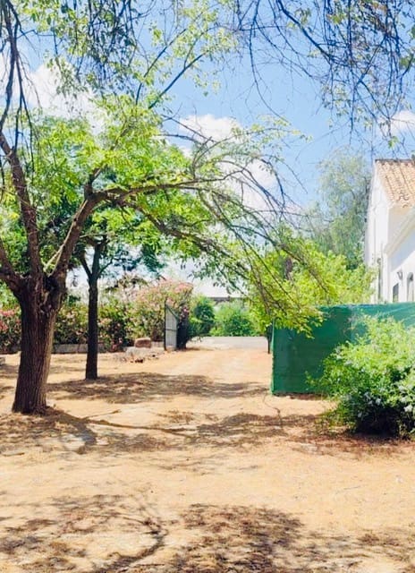 4 bedroom Finca/Country House for sale in Puente Genil with pool garage - € 339,000 (Ref: 10163788)