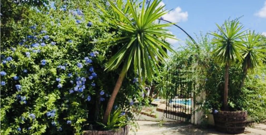 4 bedroom Finca/Country House for sale in Puente Genil with pool garage - € 339,000 (Ref: 10163788)