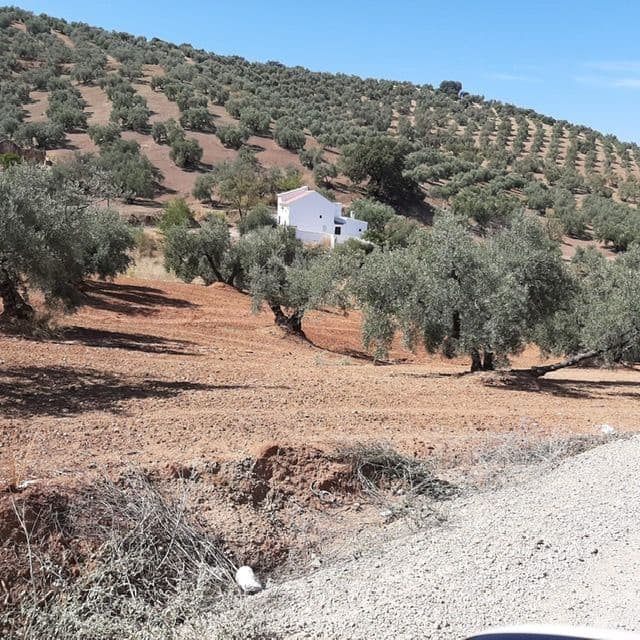 4 soveværelse Finca/Landehus til salg i Villanueva de Algaidas - € 119.500 (Ref: 5580208)