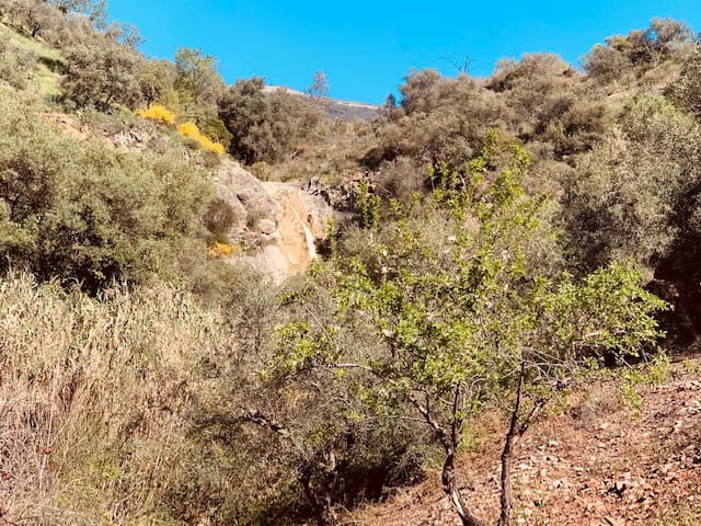 Finka/Dom wiejski na sprzedaż w Colmenar - 79 950 € (Ref: 5954756)