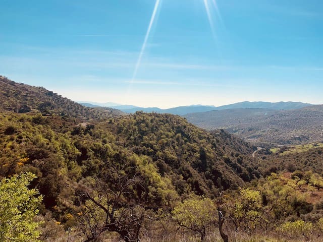 Finka/Dom wiejski na sprzedaż w Colmenar - 79 950 € (Ref: 5954756)