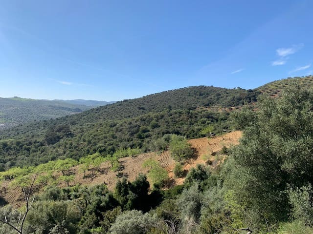 Finka/Dom wiejski na sprzedaż w Colmenar - 79 950 € (Ref: 5954756)