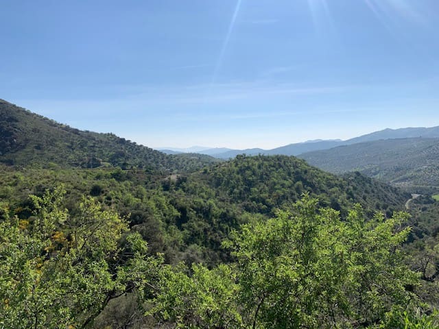 Finka/Dom wiejski na sprzedaż w Colmenar - 79 950 € (Ref: 5954756)