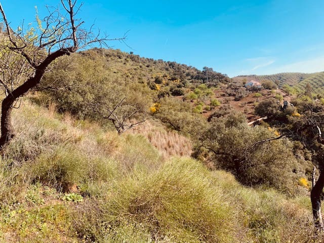 Finka/Dom wiejski na sprzedaż w Colmenar - 79 950 € (Ref: 5954756)