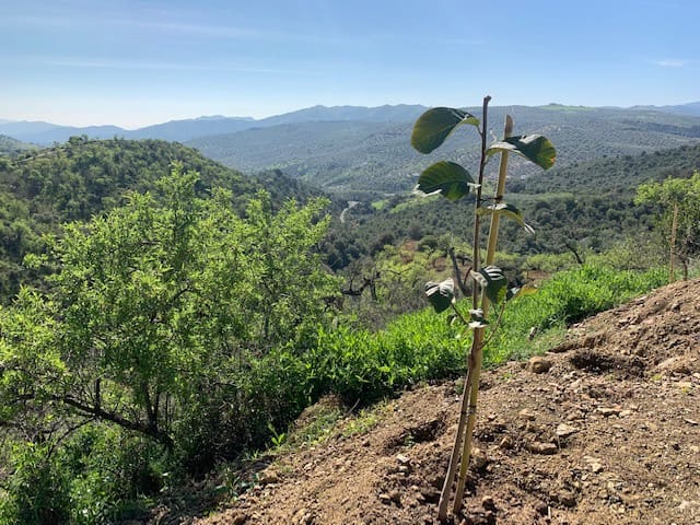 Finka/Dom wiejski na sprzedaż w Colmenar - 79 950 € (Ref: 5954756)