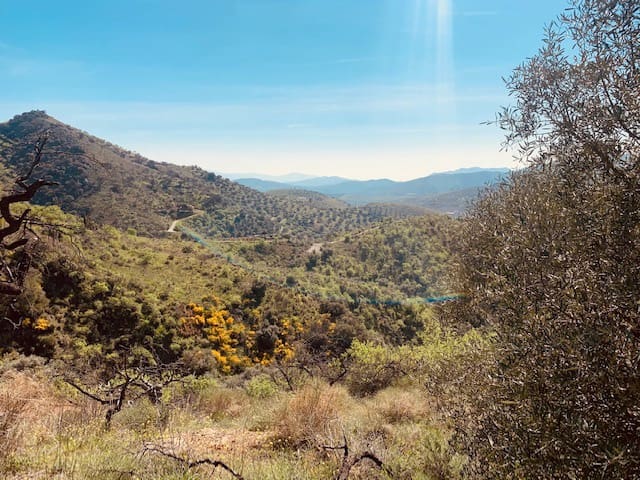 Finka/Dom wiejski na sprzedaż w Colmenar - 79 950 € (Ref: 5954756)