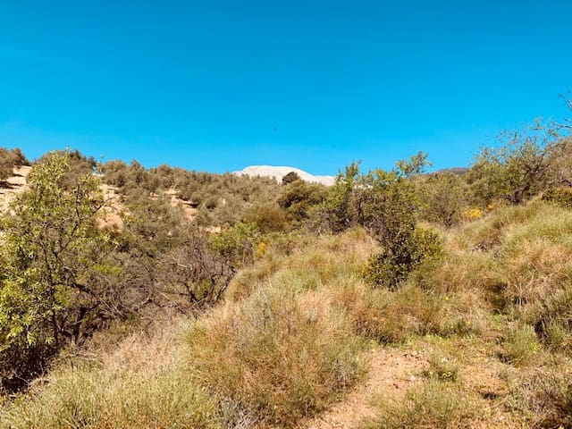 Finka/Dom wiejski na sprzedaż w Colmenar - 79 950 € (Ref: 5954756)