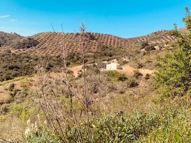 Finka/Dom wiejski na sprzedaż w Colmenar - 79 950 € (Ref: 5954756)