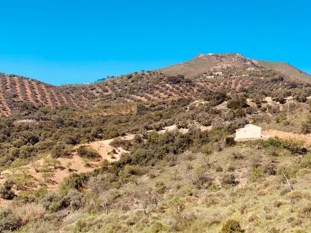 Finka/Dom wiejski na sprzedaż w Colmenar - 79 950 € (Ref: 5954756)