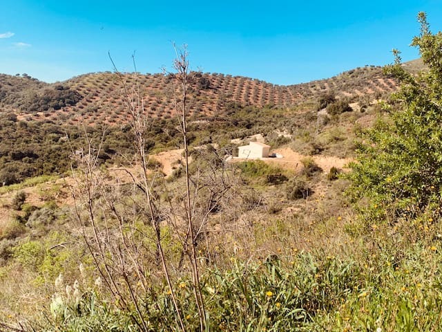 Finka/Dom wiejski na sprzedaż w Colmenar - 79 950 € (Ref: 5954756)