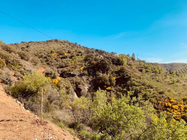 Finka/Dom wiejski na sprzedaż w Colmenar - 79 950 € (Ref: 5954756)