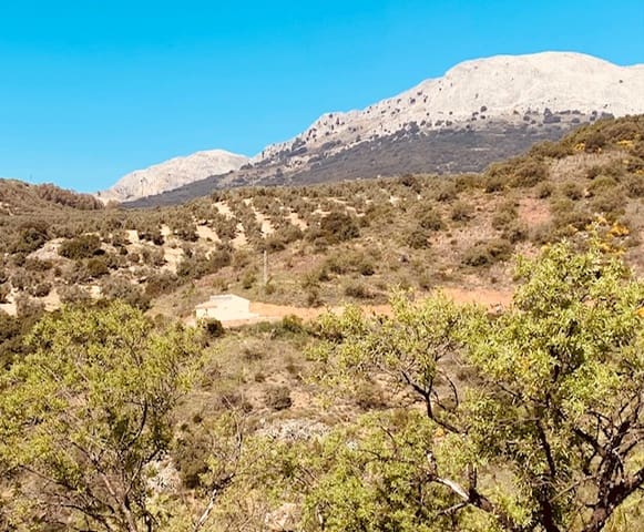 Finka/Dom wiejski na sprzedaż w Colmenar - 79 950 € (Ref: 5954756)