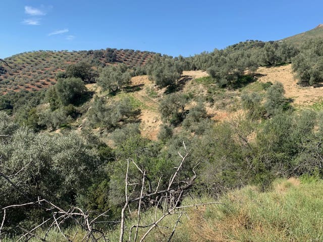 Finka/Dom wiejski na sprzedaż w Colmenar - 79 950 € (Ref: 5954756)