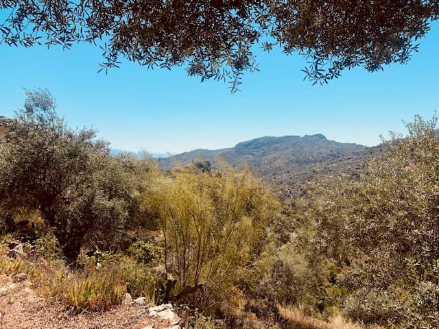 2 sovrum Finca/Hus på landet till salu i Colmenar - 145 000 € (Ref: 6111485)