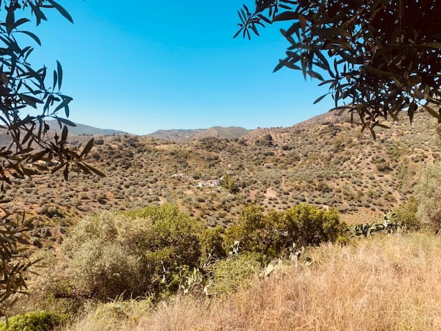 2 sovrum Finca/Hus på landet till salu i Colmenar - 145 000 € (Ref: 6111485)