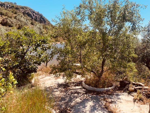 2 sovrum Finca/Hus på landet till salu i Colmenar - 145 000 € (Ref: 6111485)