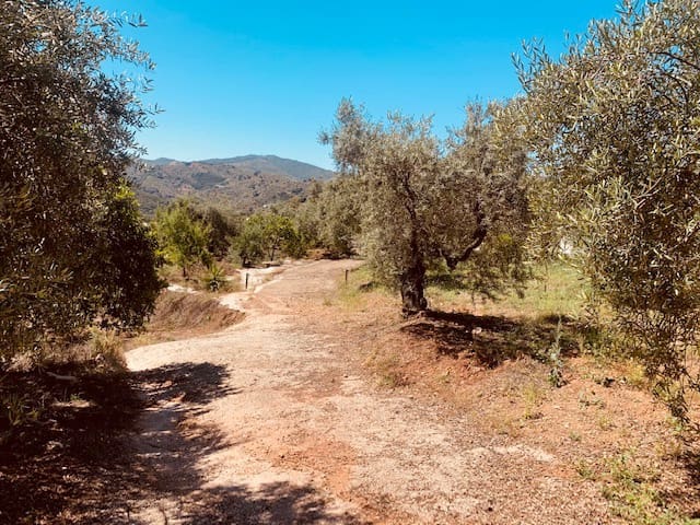 2 sovrum Finca/Hus på landet till salu i Colmenar - 145 000 € (Ref: 6111485)