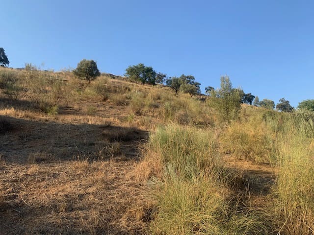 2 bedroom Finca/Country House for sale in Comares - € 69,000 (Ref: 6357826)