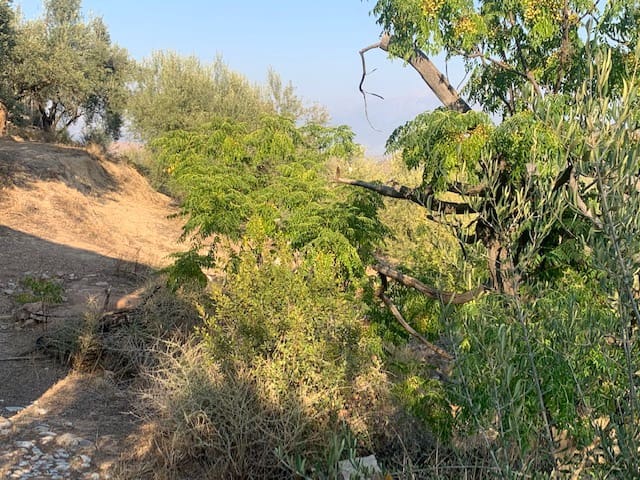 2 bedroom Finca/Country House for sale in Comares - € 69,000 (Ref: 6357826)