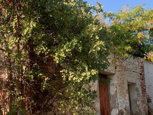 2 bedroom Finca/Country House for sale in Comares - € 69,000 (Ref: 6357826)