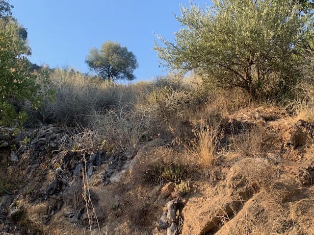 2 bedroom Finca/Country House for sale in Comares - € 69,000 (Ref: 6357826)