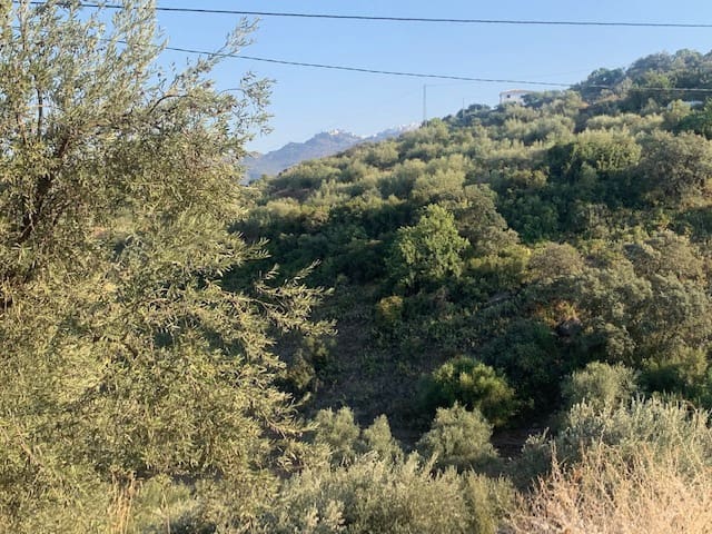 2 bedroom Finca/Country House for sale in Comares - € 69,000 (Ref: 6357826)